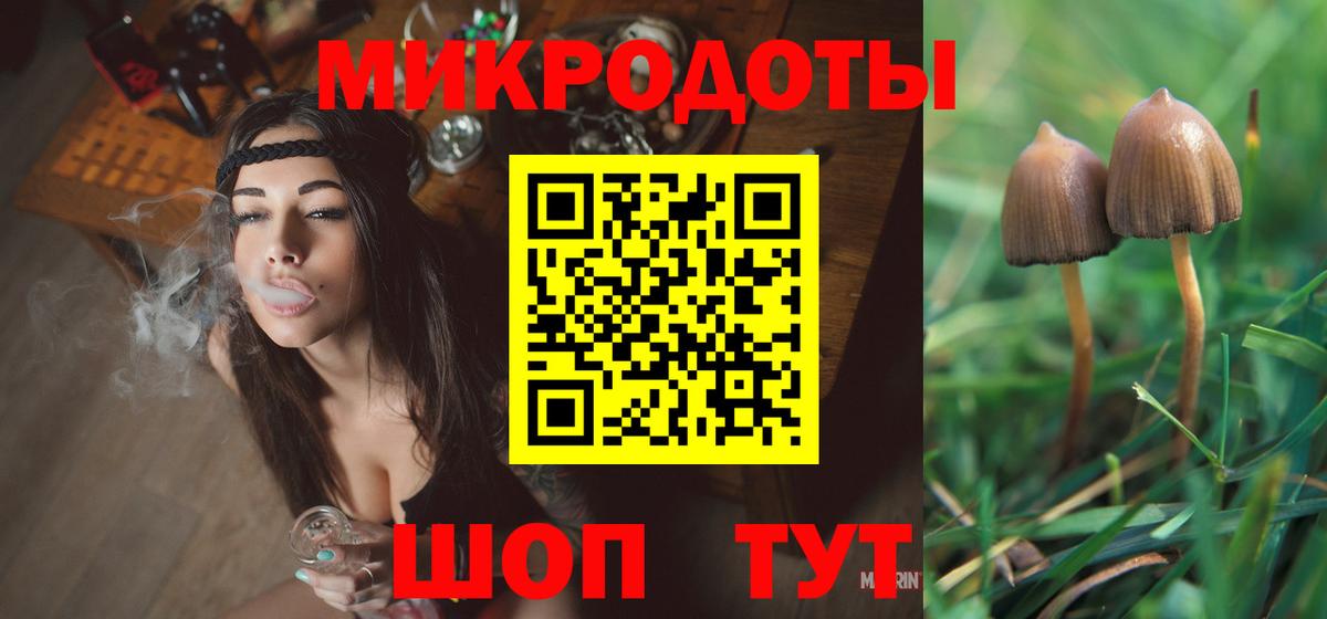 Пугачёв  Псилоцибиновые грибы Magic Shrooms  Вход с VPN 
